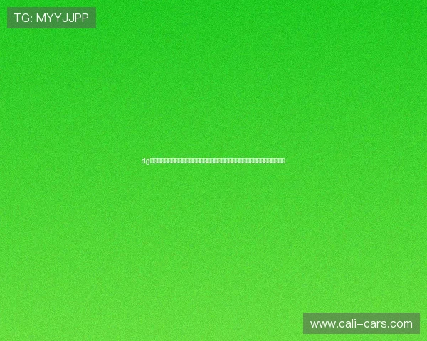 dg视讯长期盈利实现体育直播持续增长，深入探讨世界杯期间的盈利模式与用户体验优化